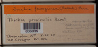 Image Associated With the Occurence